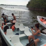 BIOLUMINESCENCE IN PUERTO ESCONDIDO - Good To Know