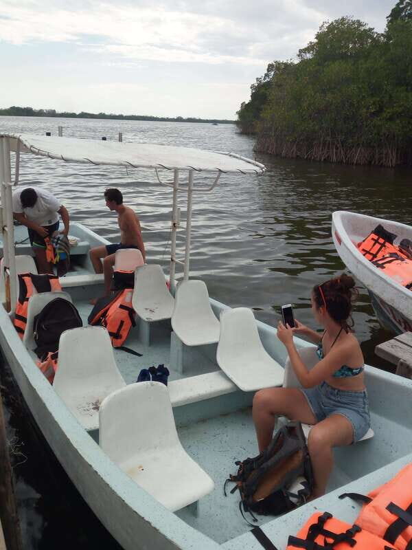 BIOLUMINESCENCE IN PUERTO ESCONDIDO - Good To Know