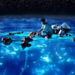 Bioluminescence Kayak Holbox  Night Eco Tour & Stargazing - Who Should Consider This Tour?