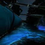 Bioluminescence Rafting Tour Cocoa Beach - The Experience from a Traveler’s Perspective