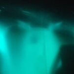 Bioluminescence swim with stars - Who Will Love This Tour?