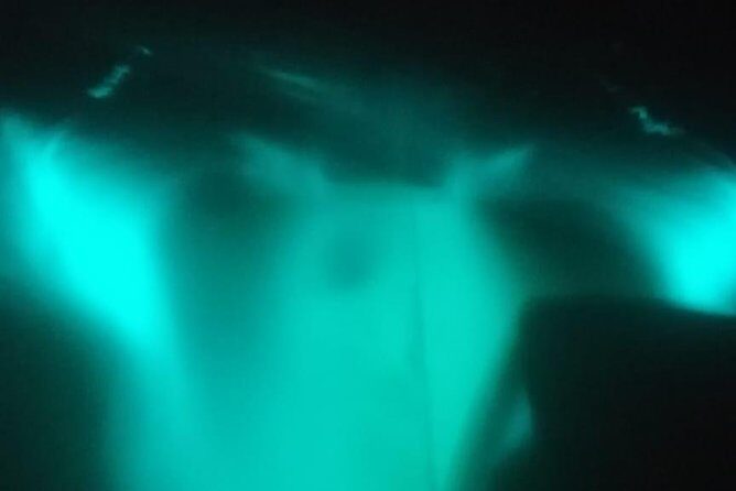 Bioluminescence swim with stars - Who Will Love This Tour?