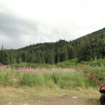 Bird Creek: Chugach State Park ATV Nature Tour & Hike - What’s Included and What to Bring