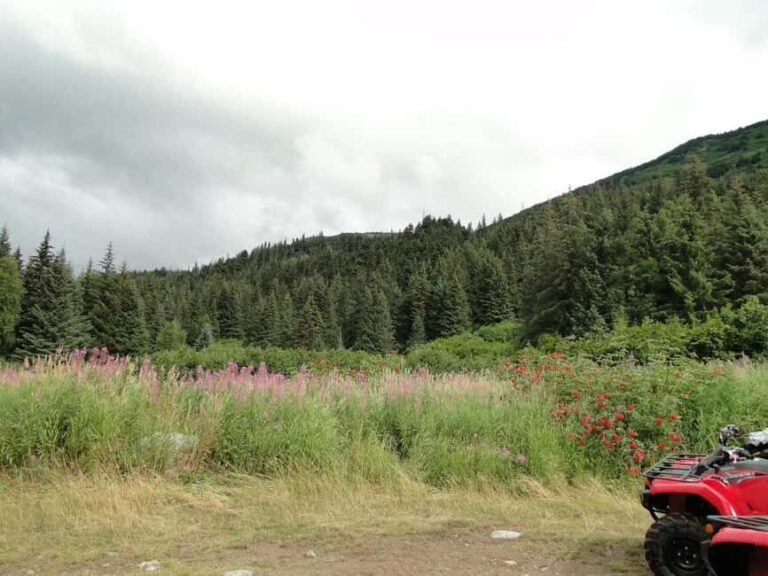 Bird Creek: Chugach State Park ATV Nature Tour & Hike - What’s Included and What to Bring