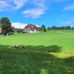 Black Forest: Ravenna Gorge Hike, Self-Guided - Who Should Consider This Tour?