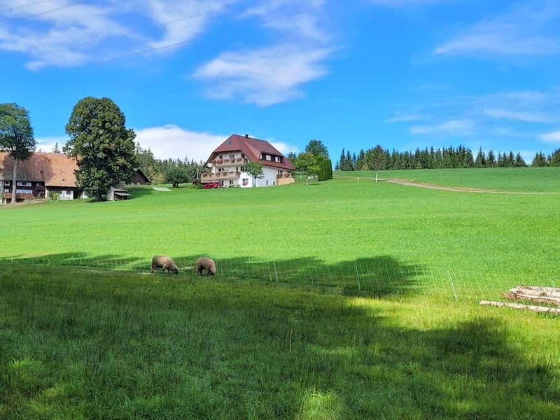 Black Forest: Ravenna Gorge Hike, Self-Guided - Who Should Consider This Tour?