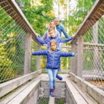 Black Forest: Treetop Walk & Lookout Tower Experience - Interactive Learning and Engagement
