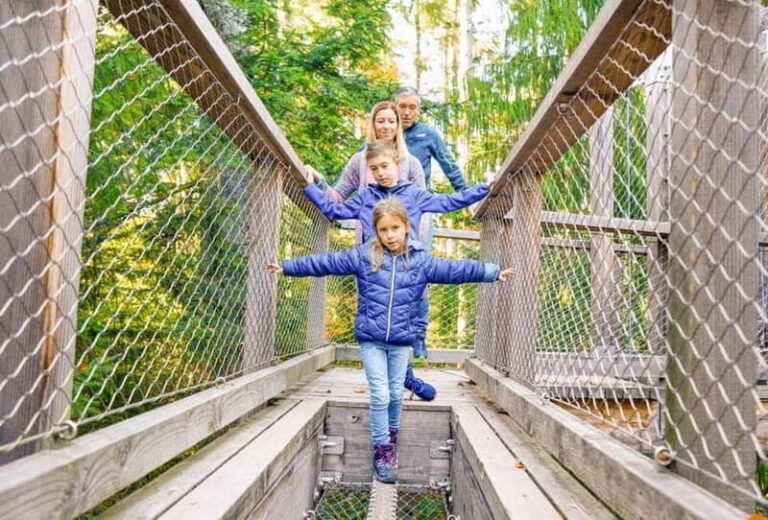 Black Forest: Treetop Walk & Lookout Tower Experience - Interactive Learning and Engagement