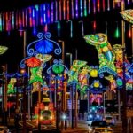 Blackpool: Illuminations Open Top Bus Tour - FAQ