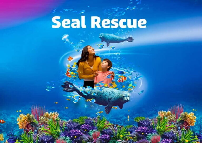 Blankenberge: SEA LIFE Entry Ticket - Who Should Visit Blankenberge SEA LIFE?