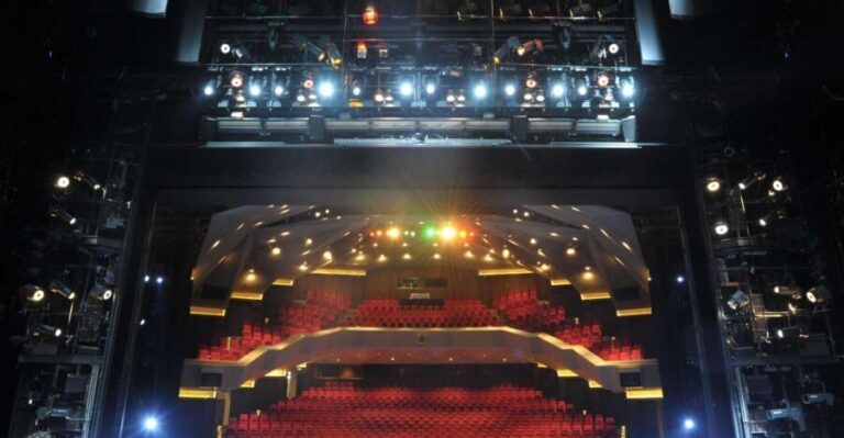 Blick hinter die Kulissen Führung: Staatstheater Darmstadt - Who Will Love This Tour?