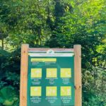 Blue Eye Magic & Castle Views  Saranda Adventure Tour - An In-Depth Look at the Tour Highlights