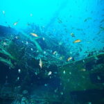 Blue Lagoon: Half-Day Escape - The Itinerary: What Makes It Special