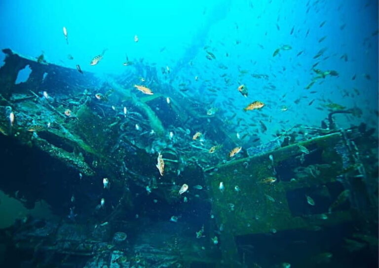 Blue Lagoon: Half-Day Escape - The Itinerary: What Makes It Special