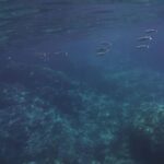 Boat excursion Giardini Naxos Taormina with swimming break - The Practicalities