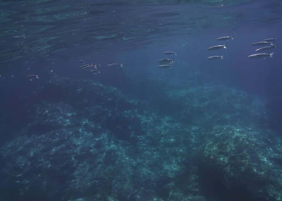 Boat excursion Giardini Naxos Taormina with swimming break - The Practicalities