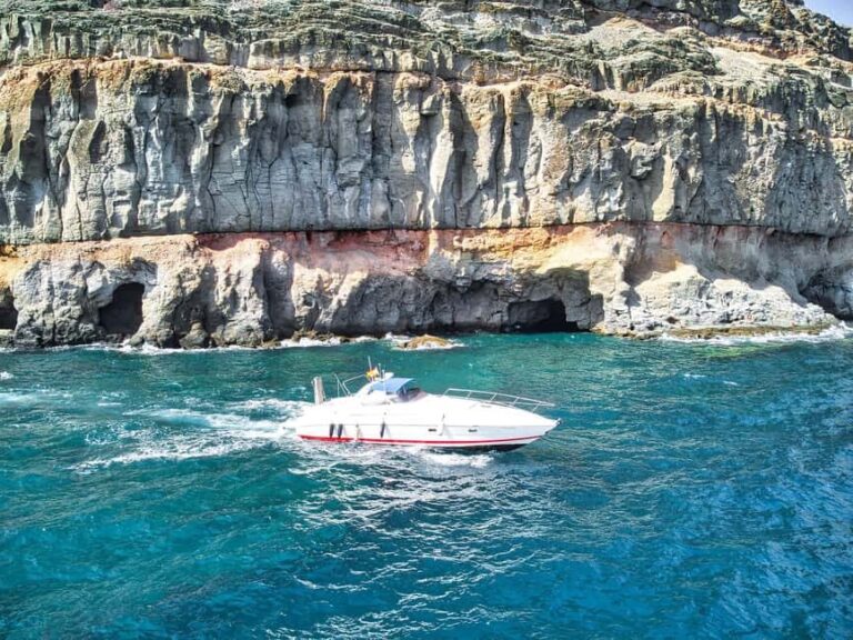 Boat ride from Puerto de Mogán along the Tamadaba coast - Why You Should Consider This Experience