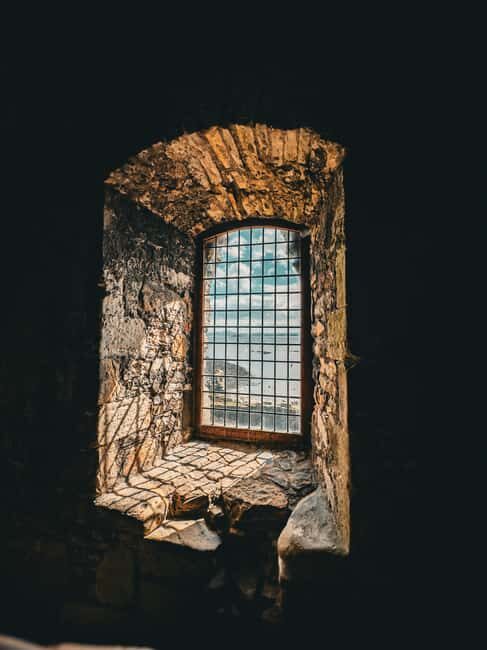 Boat trip and guided tour to Inchcolm Island - The Cruise Along the Forth: A Scenic Highlight