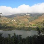 Boat trip - Foz do Távora - The Value of the Experience: Why It’s Worth It