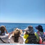 Boat trip from Castro to Malepasso with aperitif on board - The Practicalities and What to Expect