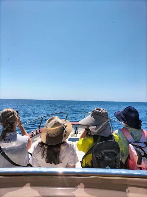 Boat trip from Castro to Malepasso with aperitif on board - The Practicalities and What to Expect