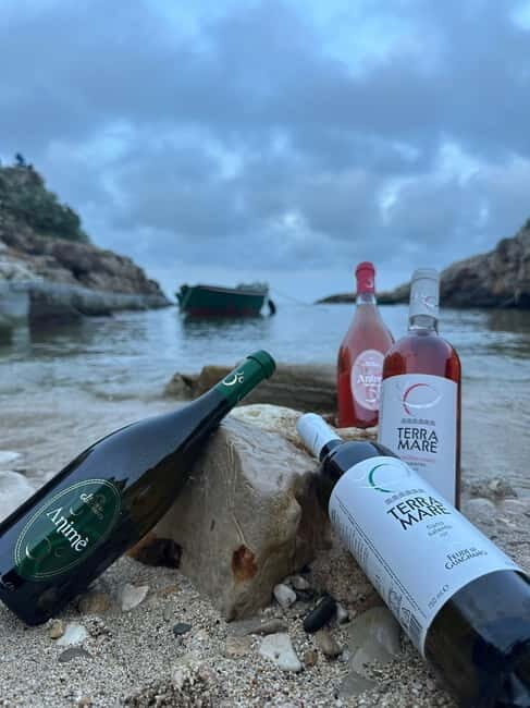 Boat trip with tasting of typical Apulian products - Why Youll Love the Experience