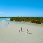 Boca Grande Kayaking Tour - Why You’ll Love the Guides