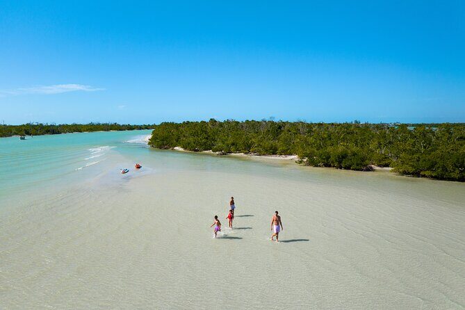 Boca Grande Kayaking Tour - Why You’ll Love the Guides