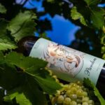 BODEGAS PANDORA: tour through the vineyards and winery with wine tasting. - Who Should Consider This Tour?