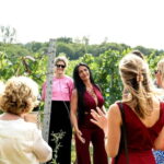 Bodiam: Vineyard Tour and Wine Tasting Experience - What to Expect from the Bodiam Vineyard Tour