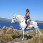 Bodrum Horse Riding Adventure - Who Will Love This Tour