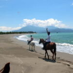Bodrum: Horseback Riding Experience with Hotel Transfer - What’s Included and What’s Not