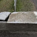 Body Snatchers of New York - Final Thoughts