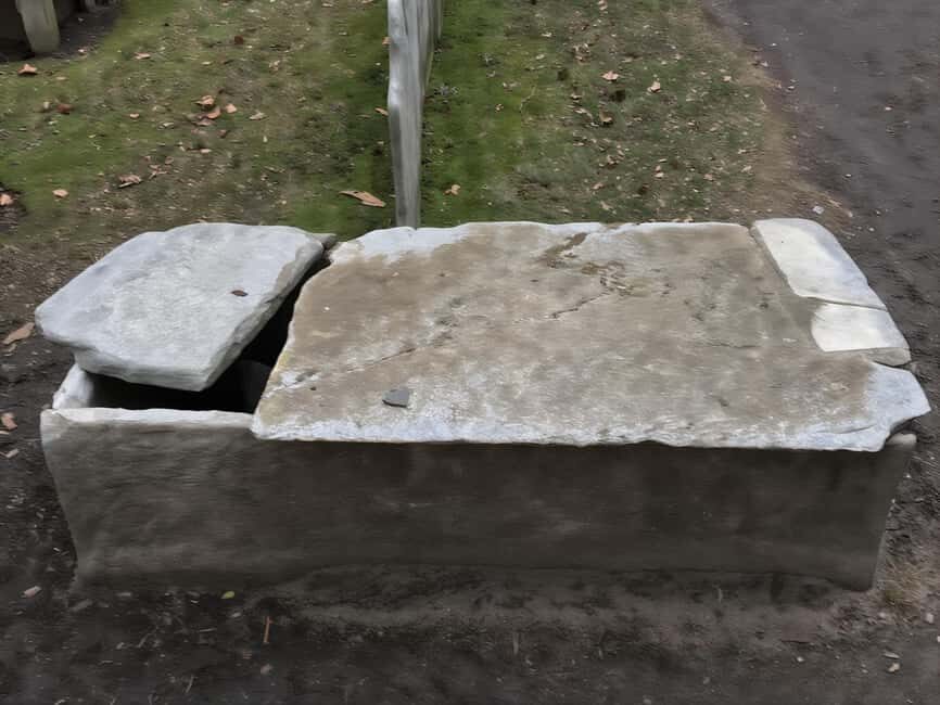 Body Snatchers of New York - Final Thoughts