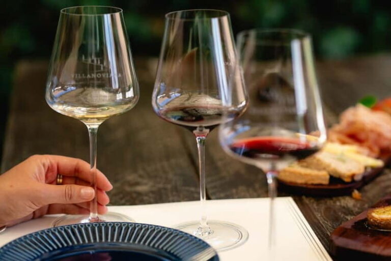 Bolgheri: Tour with wine tasting at Villanoviana - Exploring the Tour Experience in Detail