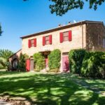 Bolgheri: Wine tasting at Podere Conca - The vineyard and olive grove walk