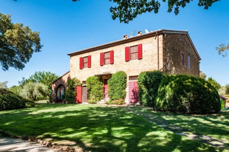 Bolgheri: Wine tasting at Podere Conca - The vineyard and olive grove walk