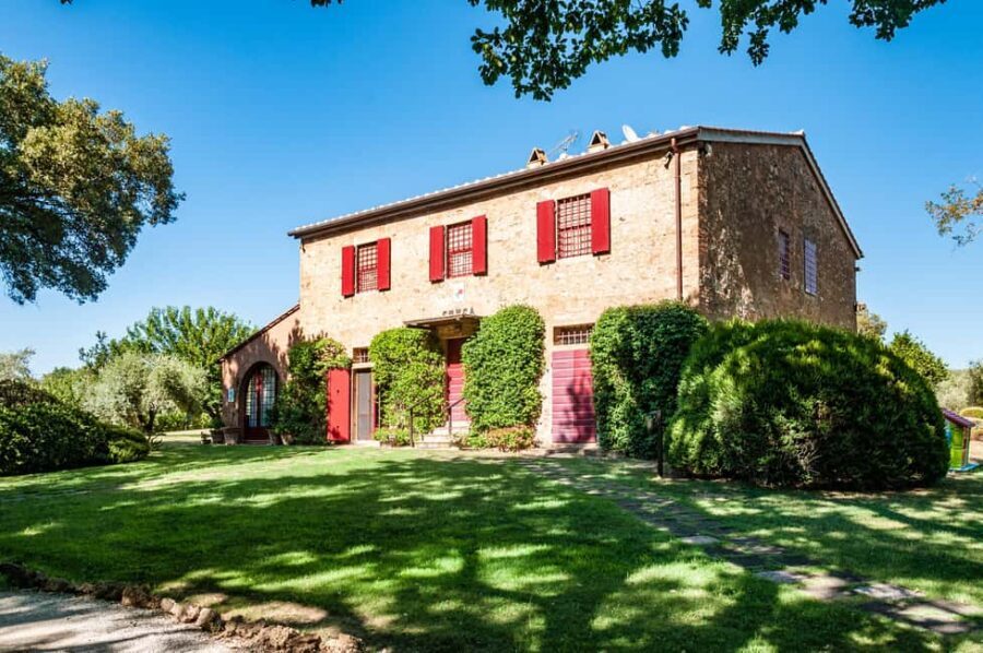 Bolgheri: Wine tasting at Podere Conca - The vineyard and olive grove walk