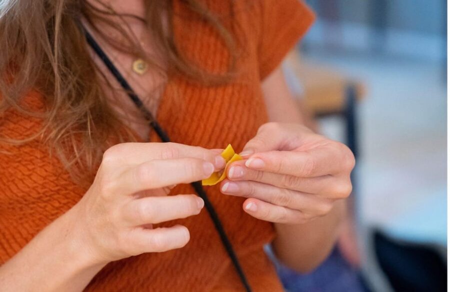 Bologna Grand Tour Italy: sfoglini for a day - Pricing and Value