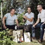 Bolzano: Wine Tasting at SKYWINE Pavilion with Views - Detailed Breakdown of the Itinerary