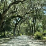 Bonaventure Cemetery History Tour - Who Would Love This Tour?