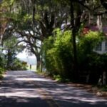 Bonaventure Cemetery & Wormsloe State Historic Site Tour - Culinary Highlights and Sweet Treats