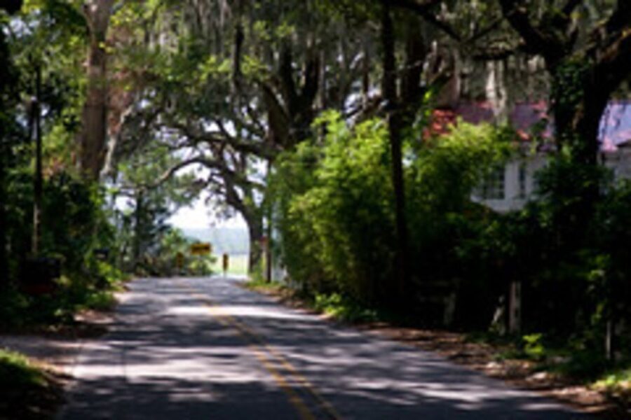 Bonaventure Cemetery & Wormsloe State Historic Site Tour - Culinary Highlights and Sweet Treats
