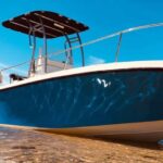 Bonifacio: croisière guidée et Snorkeling aux îles lavezzi - Practical Details and Considerations