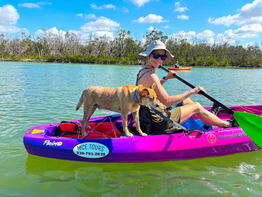 Bonita Springs Clear Kayak Tour with Dolphins & Manatees - Who Will Love This Tour