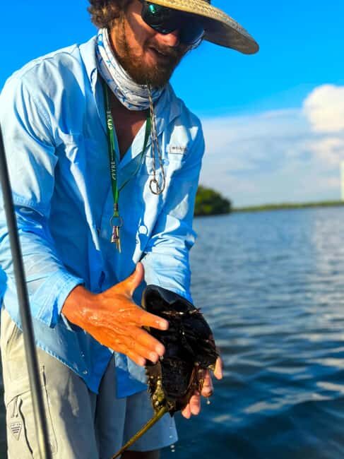 Bonita Springs: Kayak Tour with Manatees, Dolphins Sightings - Benefits for Different Travelers