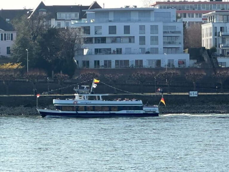 Bonn: Winter tour by boat with mulled wine - Highlights of the Cruise