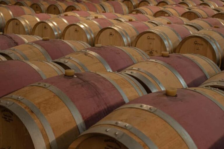 Bordeaux: Château Saint Ahon classic tour - Who Should Consider This Tour?