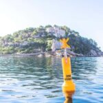 Bormes-les-Mimosas: Hybrid boat trip around Fort de Brégançon - Who Would Love This Tour?