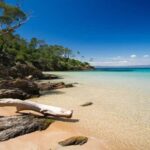 Bormes-les-Mimosas: Hybrid boat trip to Porquerolles Island - Practical Tips for a Smooth Experience
